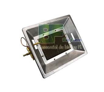 Poulet de chair vivant