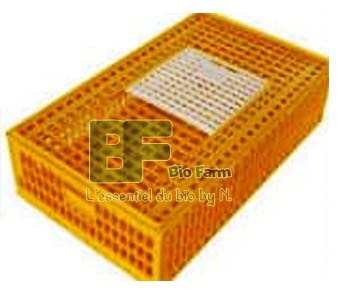 Poulet prêt à cuire