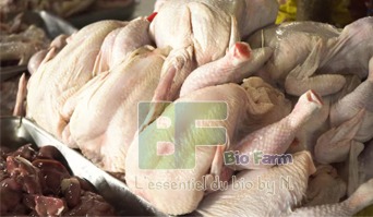 Vente de poulets